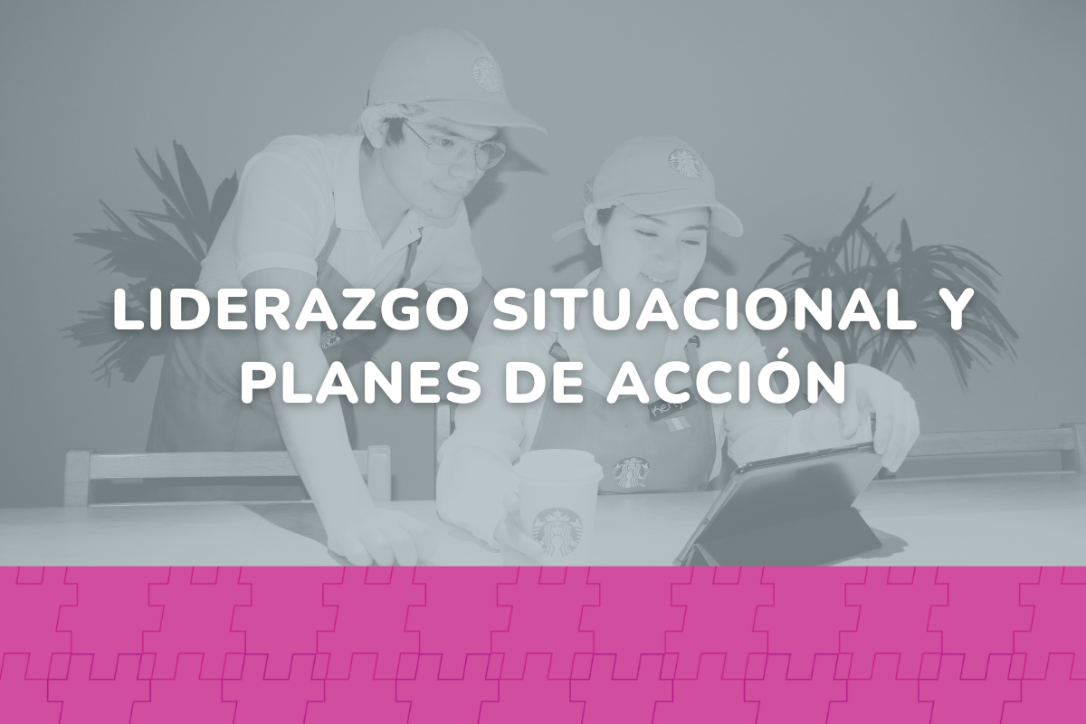 Ω | Liderazgo Situacional y Planes de Acción