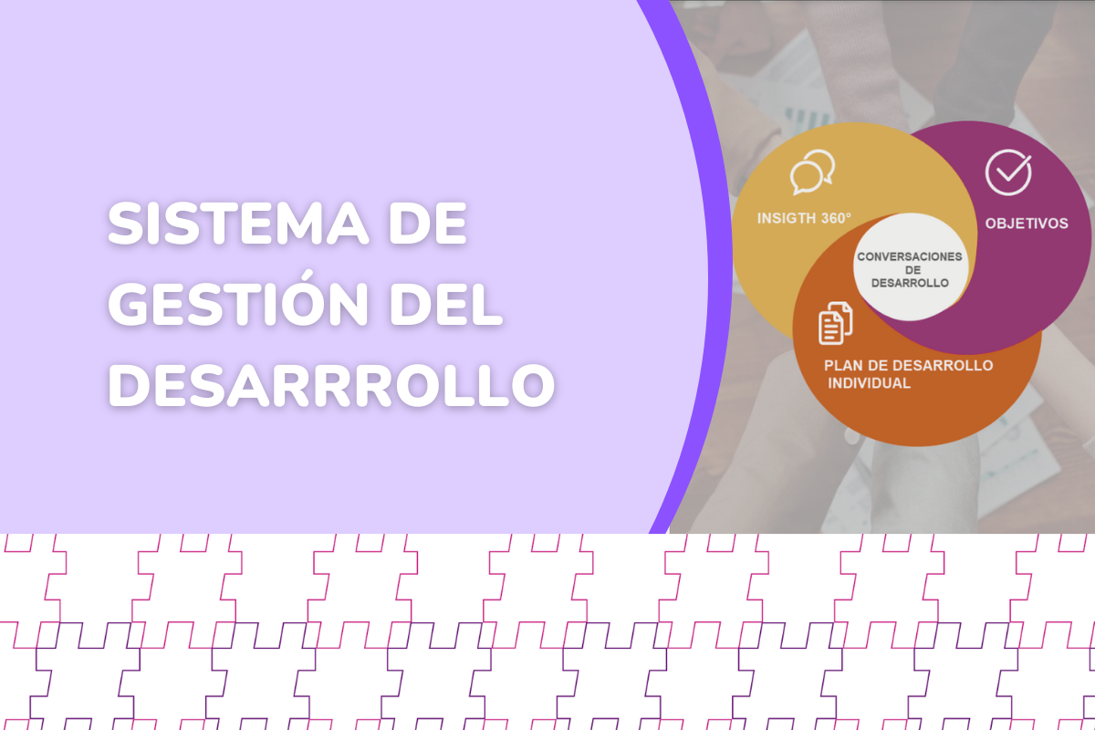 SISTEMA DE GESTION DE DESARROLLO